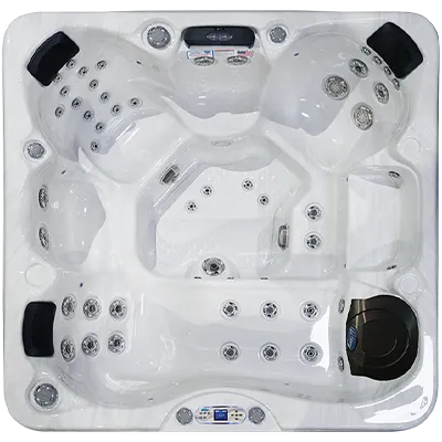 Avalon EC-849L hot tubs for sale in Walnut Creek